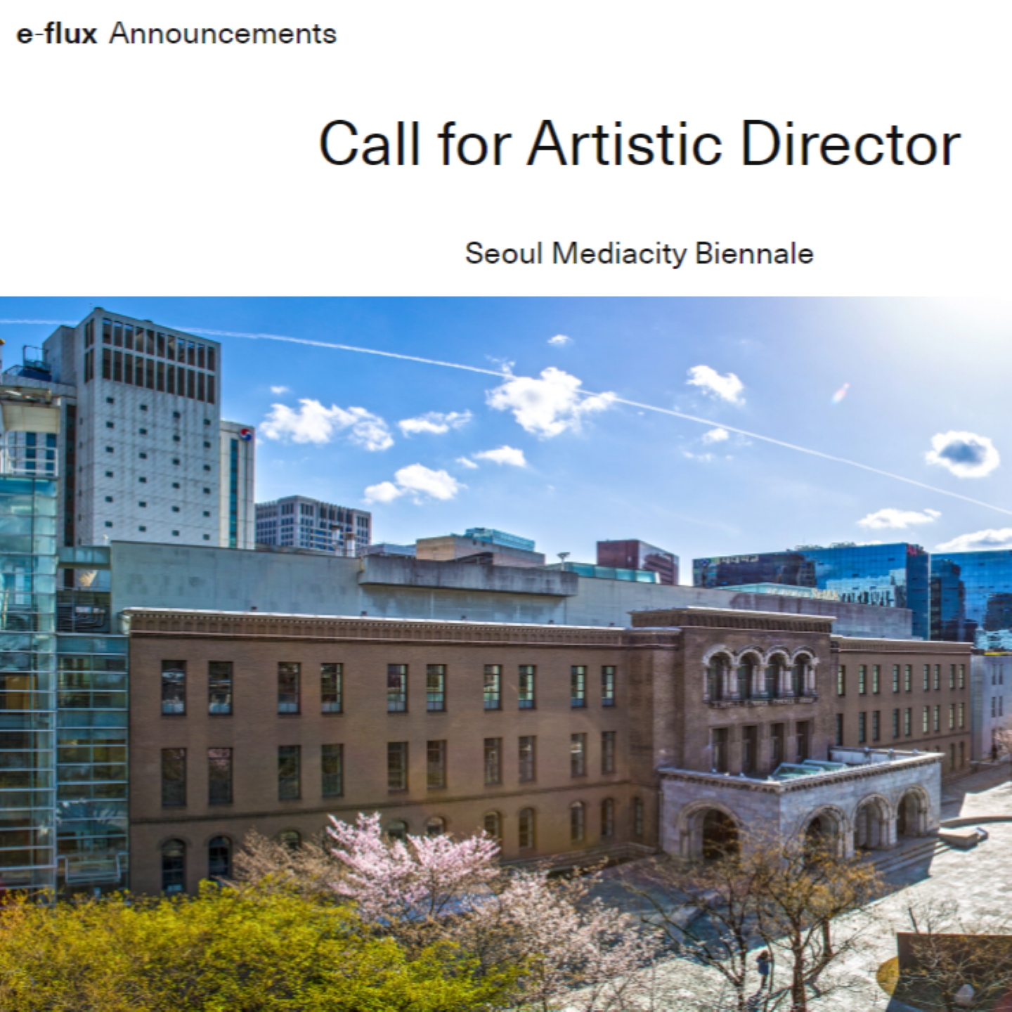 Call for Artistic Director